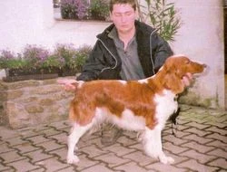 Clodi